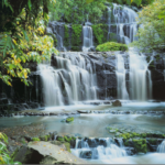0bf87340b3195f6cc21a363966ceda7a.png