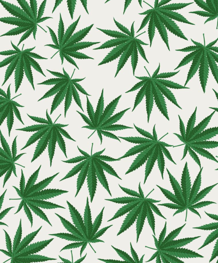 6099e7b8838d17f13e7497e8a4f847ce.jpg