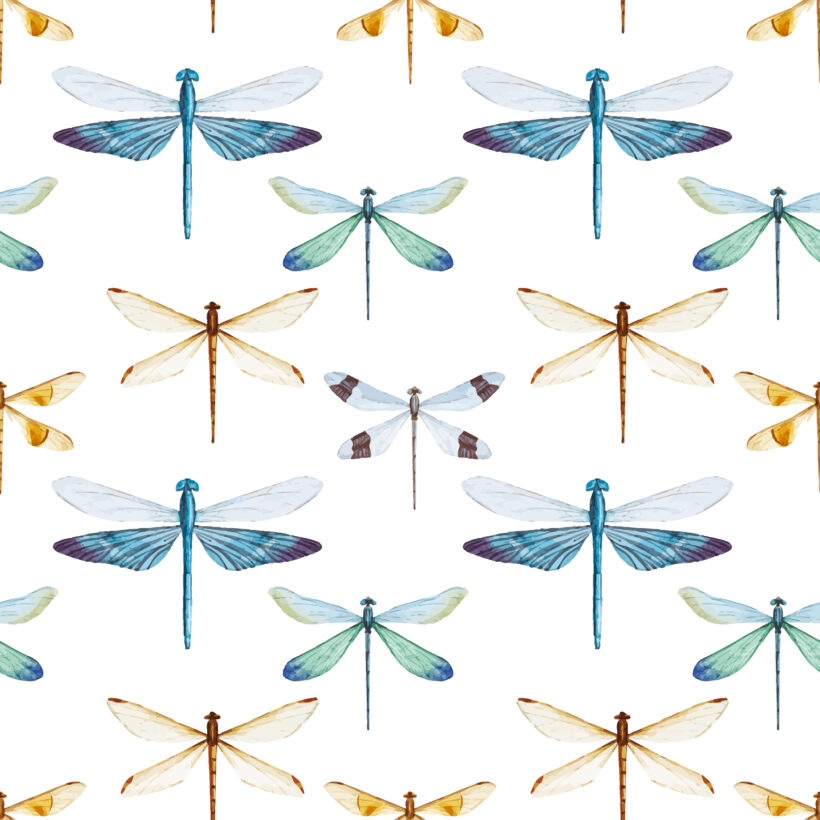 Watercolor Dragonflies Pattern