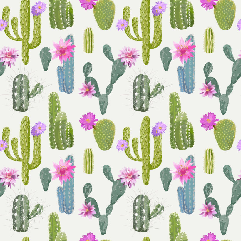 Vector Cactus Background. Seamless Pattern. Exotic Plant. Tropic