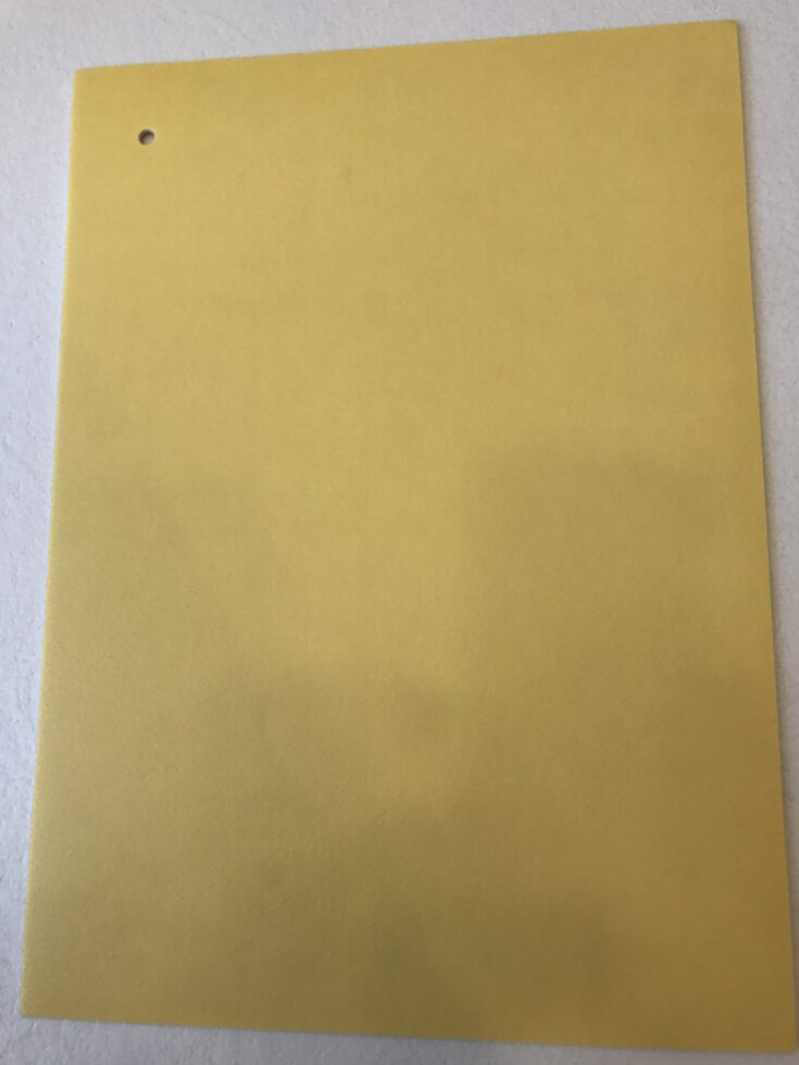 917792542c4cf3f7eec465860262338c.jpg