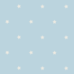 E181d44a56fb8937dd70ba4f0862931f.png