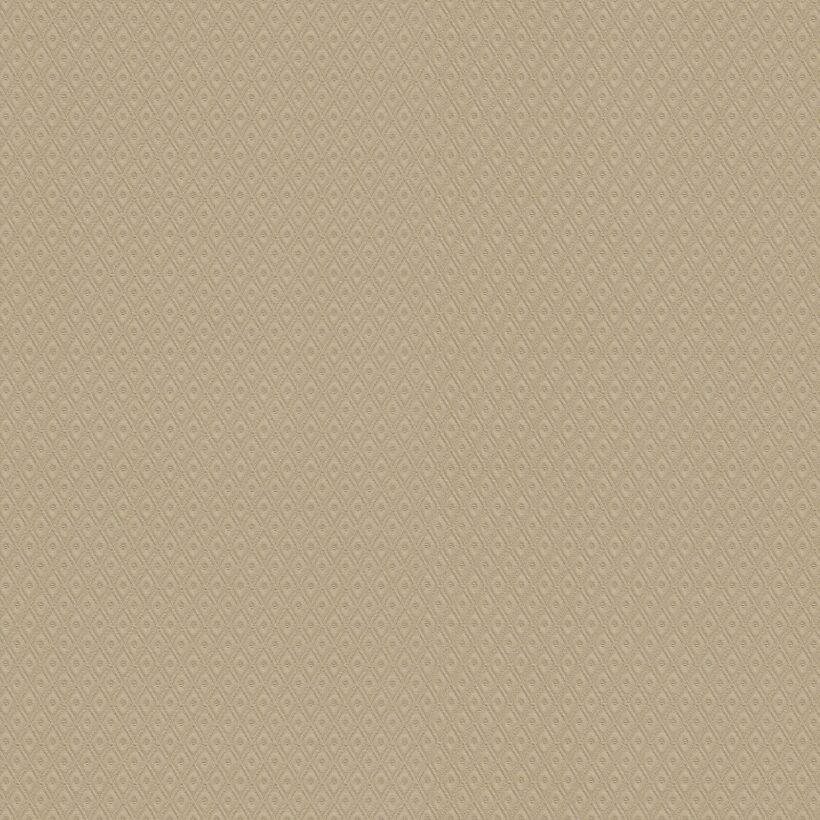 3b62c27923f6ac10b521535d0ee9ca84.jpg