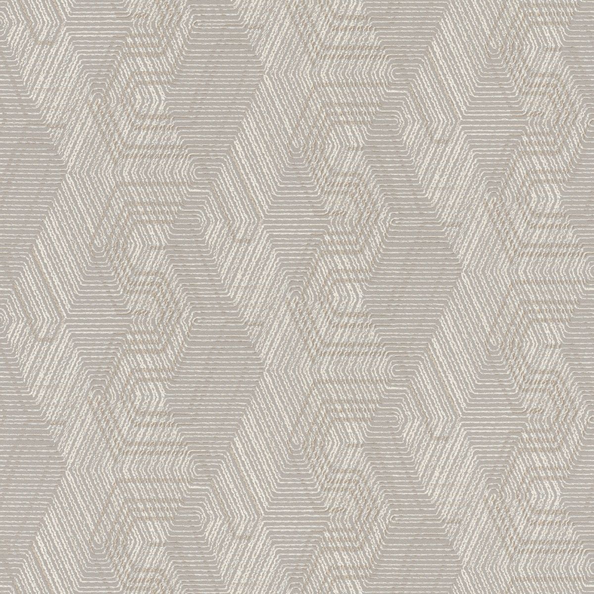 E44edd29a82b204e9504a49484a8596d.jpg