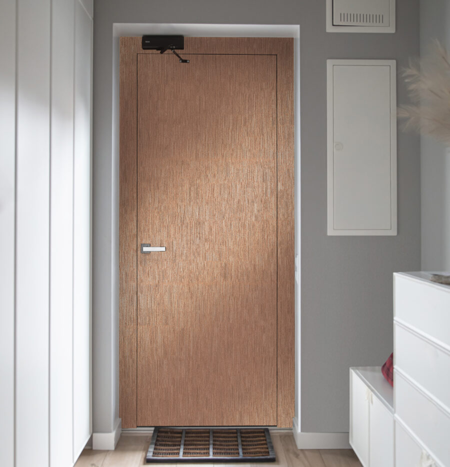 Corridor Interior With An Entrance Door In A Private House.