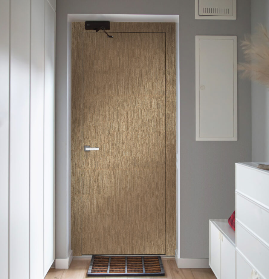 Corridor Interior With An Entrance Door In A Private House.