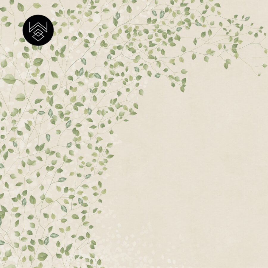 753a86a9499a3ef9d4aa2e6ec64e50f6.jpg