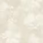 בז גליל 2 בז גליל 2