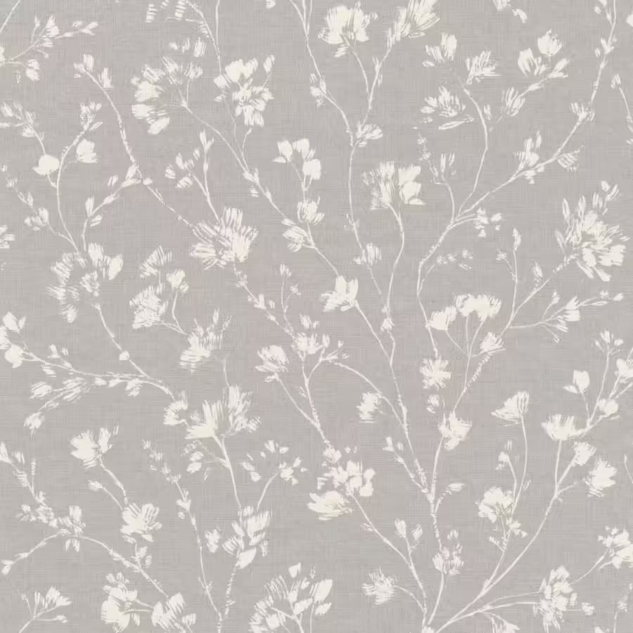 חרצית1 חרצית1