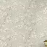 פרח ראשי3 פרח ראשי3