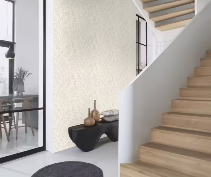 אלגנטי ראשי