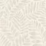 אלגנטי1 אלגנטי1