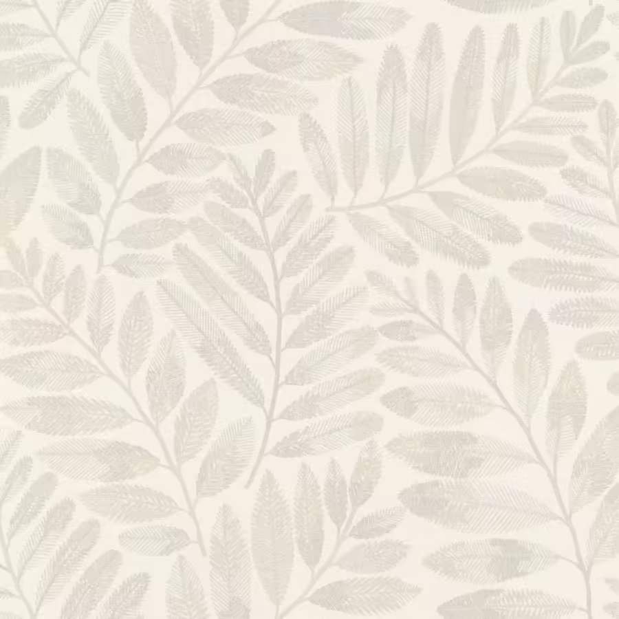 אלגנטי1 אלגנטי1