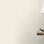 בז ראשי בז ראשי