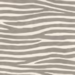 זברה אפור1 זברה אפור1