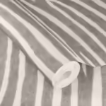 זברה אפור2 זברה אפור2