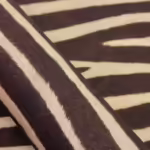 זברה חום2 זברה חום2