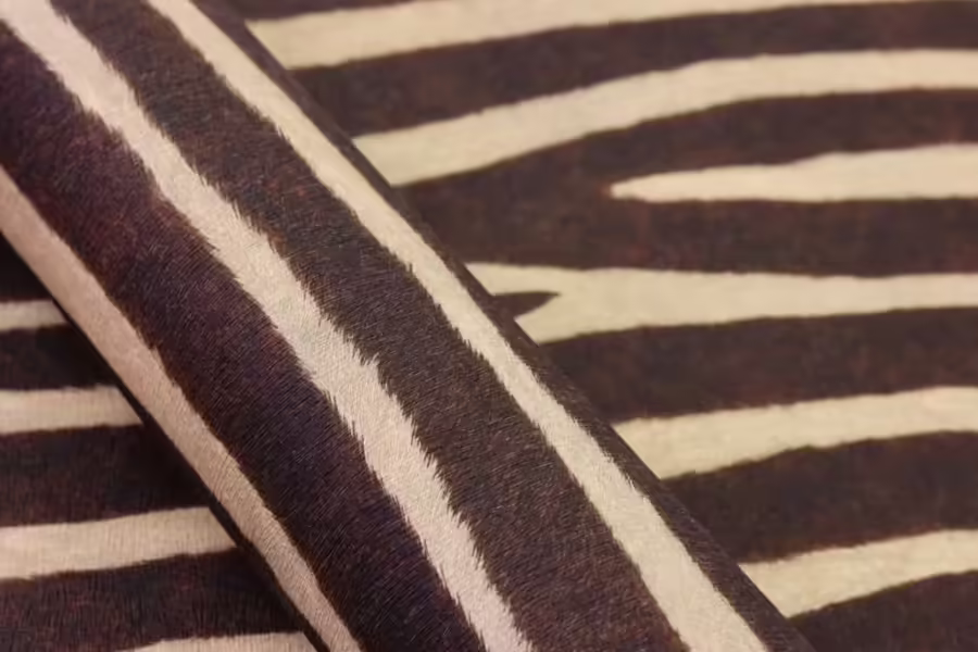 זברה חום2 זברה חום2