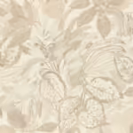 מאויר בז מאויר בז