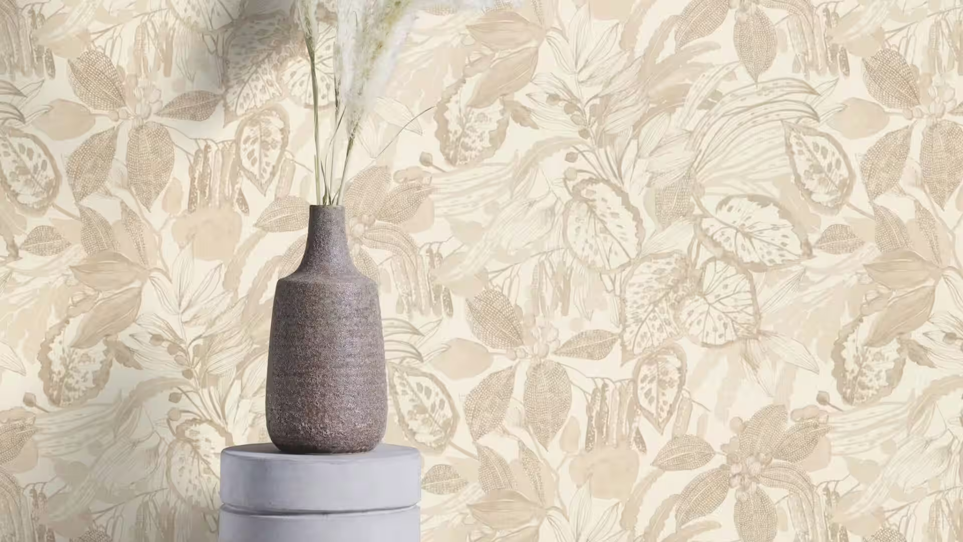 מאויר בז ראשי