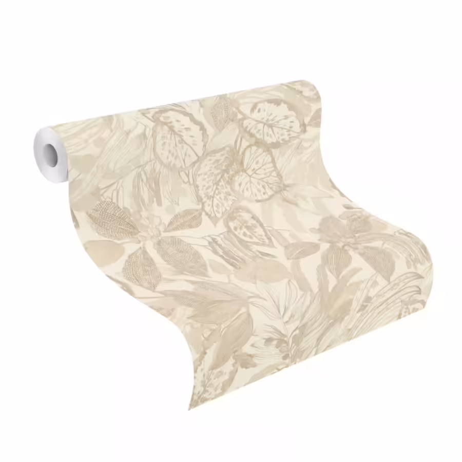 מאויר בז2 מאויר בז2