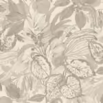 מאויר1 מאויר1