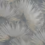 מניפה1 מניפה1