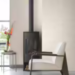 עורק ראשי עורק ראשי