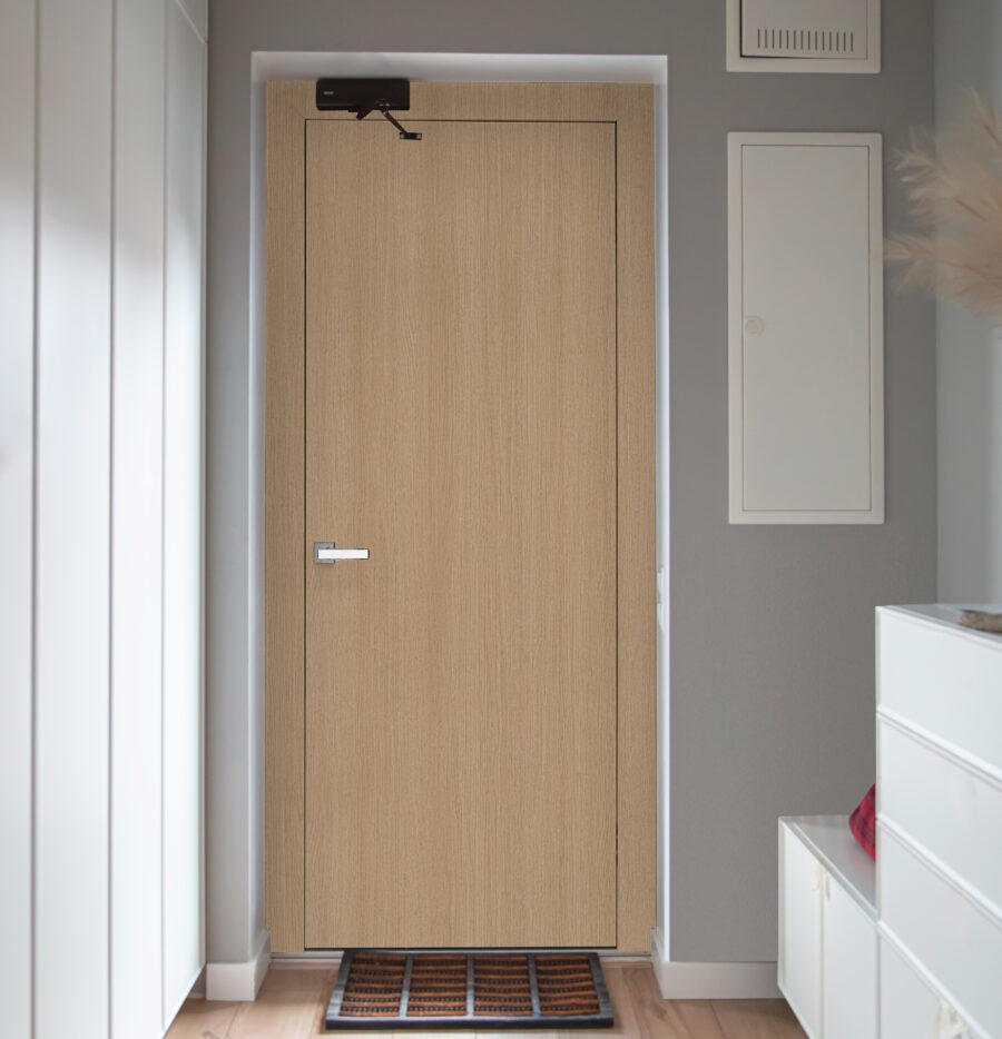 Corridor Interior With An Entrance Door In A Private House. Corridor Interior With An Entrance Door In A Private House.