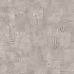 עץ אפור 3 עץ אפור 3