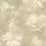 ערפל ירוק ערפל ירוק