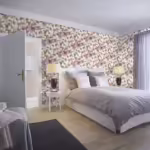 פרח סגול ראשי פרח סגול ראשי