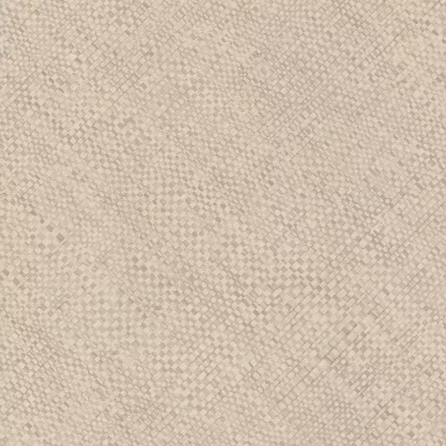 פשתן אפור2 פשתן אפור2