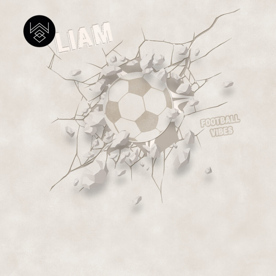 אורבן ערבה כדורגל 9 213448 (4)