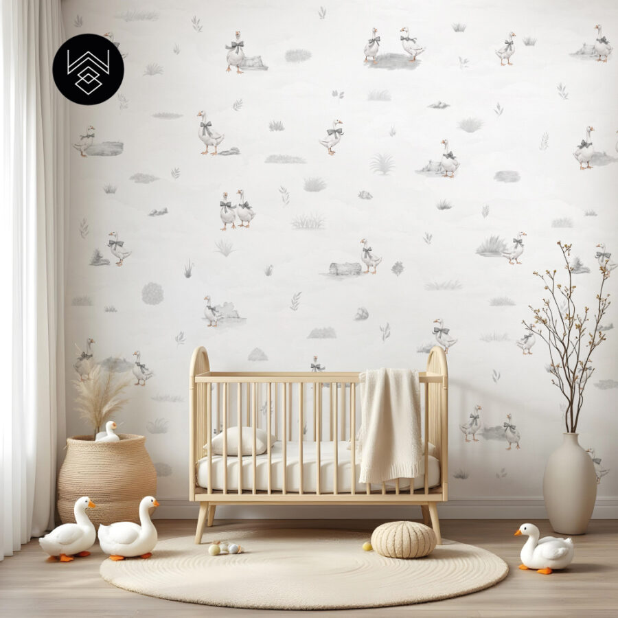 דאקס קידס 1 213495 (2)