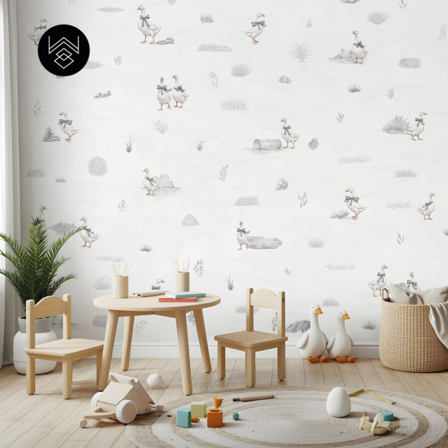 דאקס קידס 1 213495 (4)