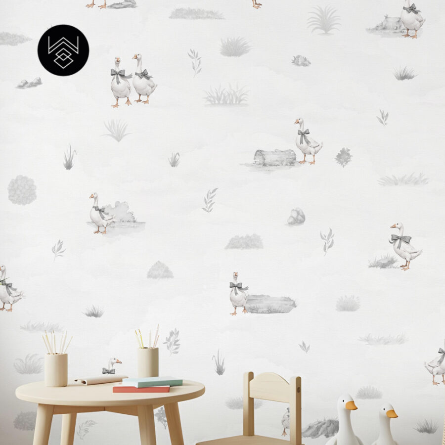 דאקס קידס 1 213495 (5)