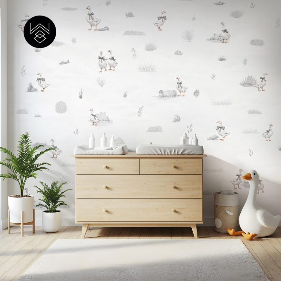 דאקס קידס 1 213495 (6)