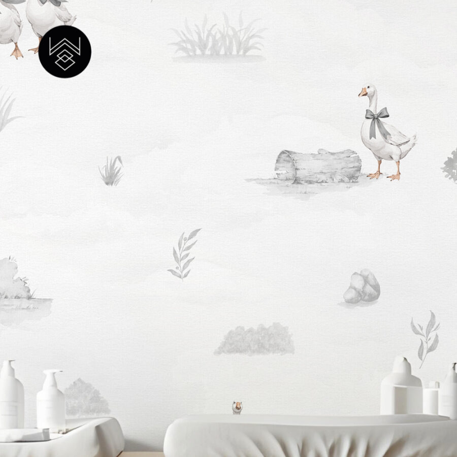 דאקס קידס 1 213495 (7)