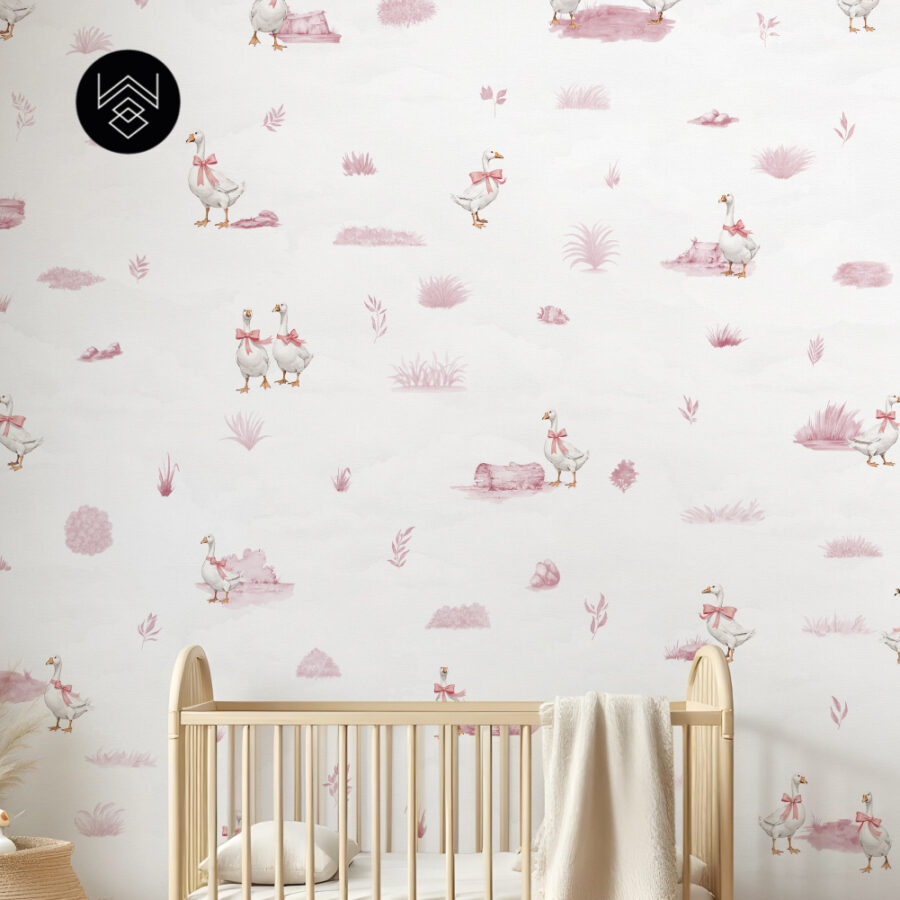 דאקס קידס 5 213499 (2)