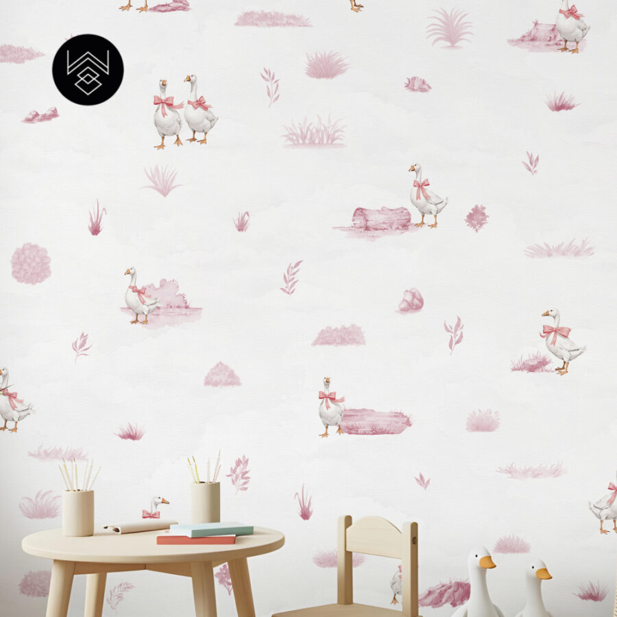 דאקס קידס 5 213499 (4)