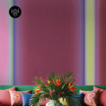 סטרונג קולור 1 213483 (1)