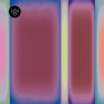 סטרונג קולור 1 213483 (6)