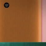 סטרונג קולור 5 213487 (3)