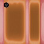 סטרונג קולור 5 213487 (6)