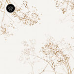 קוטון ליבס אדום 5 213476 (4)