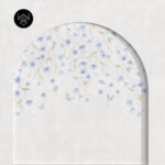 קשת פלאורס 3 213479 (6)