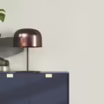 ברק אפור ראשי