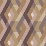 מעוין אדמה1