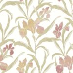 פריחה עדינה1